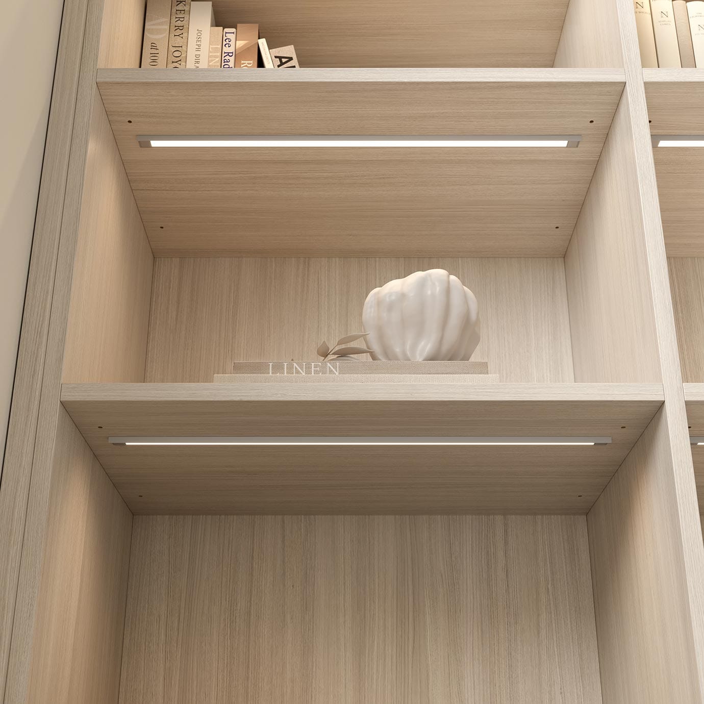 Shelving with top ribbon lighting to illuminated treasured items created by California Closets
